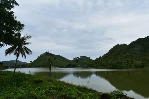 invest_lombok_hectare_land_for_sell (8)