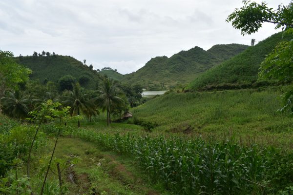 invest_lombok_hectare_land_for_sell (9)