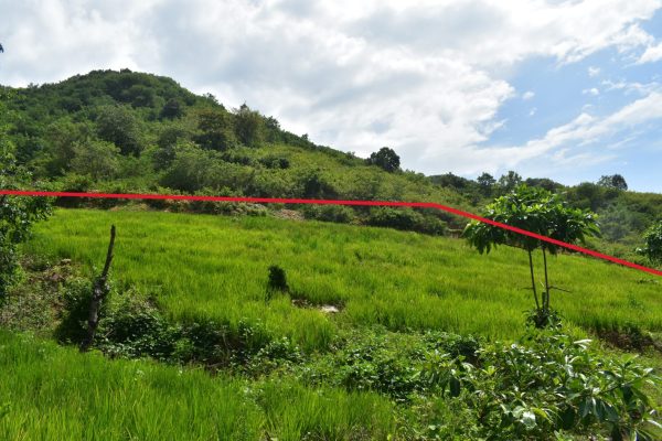 invest_lombok_serangan_cheap_land_for_sale (3)