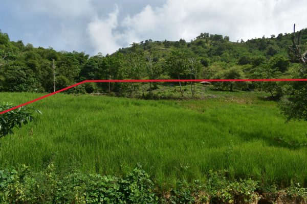 invest_lombok_serangan_cheap_land_for_sale (4)