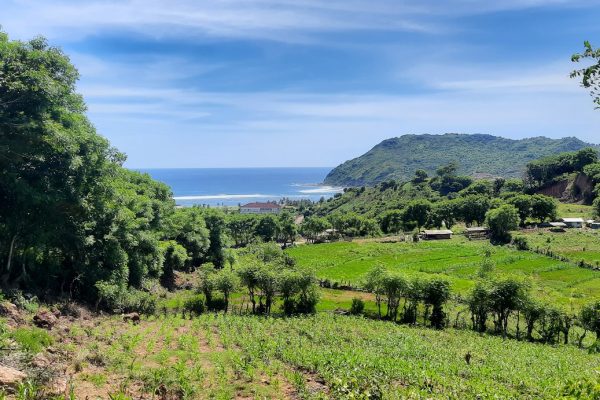 land_invest_lombok_prabu_kuta_areguling (3)