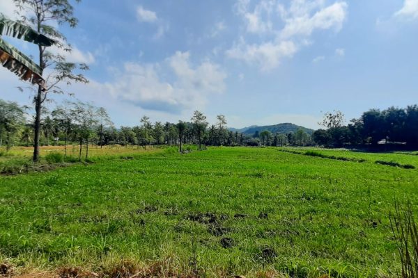 selong belanak-land-property-good deal-flat (2)