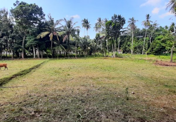 selong_belanak_flat_land_for_sale_lombok_cheap_lot_buying_property (3)